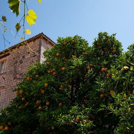 Apartman Jelena Διαμέρισμα Ντουμπρόβνικ Εξωτερικό φωτογραφία