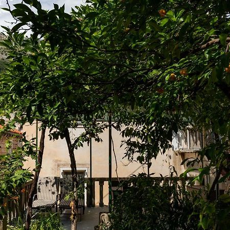 Apartman Jelena Διαμέρισμα Ντουμπρόβνικ Εξωτερικό φωτογραφία